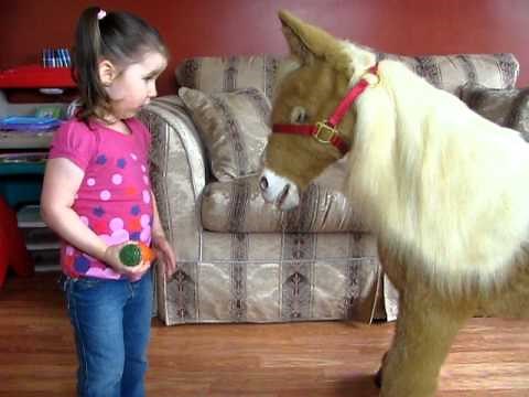Butterscotch the Pony