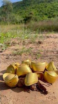 The guy show SMART and USEFUL with in Forest #camping #skills #bushcraft #outdoors