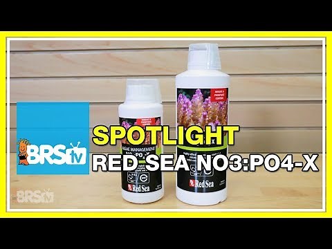 Using Red Sea NOPOX for a biological approach nutrient control | BRStv Spotlight