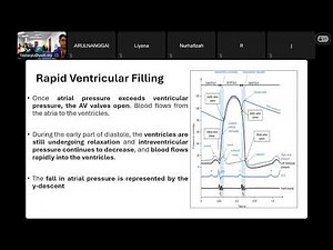 Cardiac Cycle and PV Loop