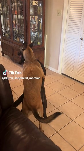 What are yall doing? #busted #coldplayed