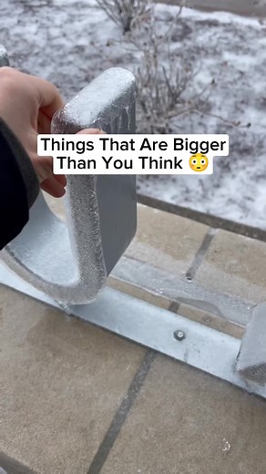 Things That Are Bigger Than You Think 😳 #incredible #interesting #fyp | interesting