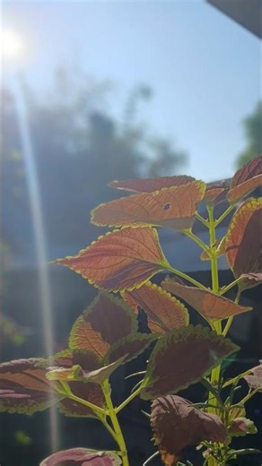 Modification of my cycle 🚲 basic to Advanced level 🫡🤫🤔✅️/#viral #automobile #modificition #cycle