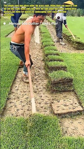 Manual Sod Harvesting Tool Turns Grass Fields Into Ready-To-Lay Turf #Sod #LawnCare #USA