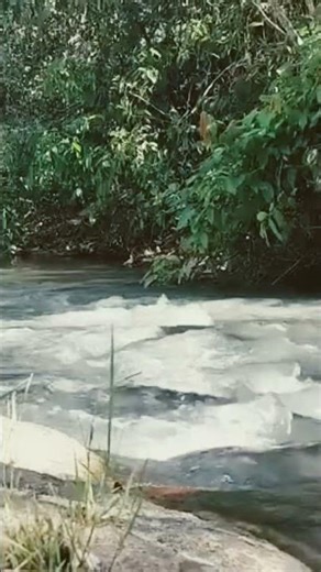 Nature sounds for sleep and relaxation soothing stream sound