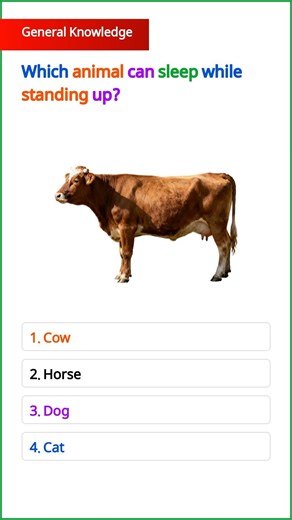 GK Questions || GK In English || GK Quiz || Important GK Questions