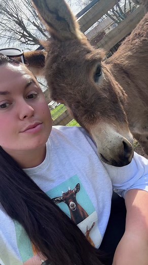 Mini Donk Update! #blancheanddolly #minidonkeys #minidonkeysoftiktok | katievanslyke