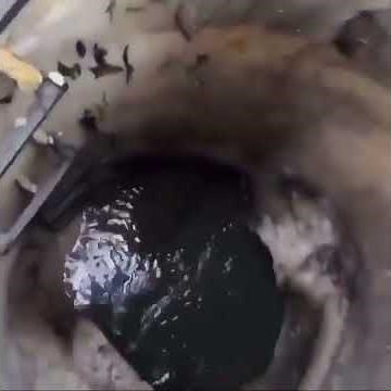 IS THERE ANYBODY IN HERE LAUGH MEME