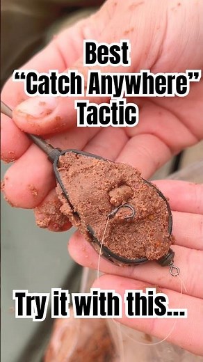 Is This The Best Method For Carp of Any Size at Any Lake? 🧐 Great Starter Kit! 🎣 #carpfishing
