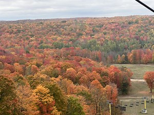 Michigan fall color update: Peak foliage reaches Great Lakes shorelines
