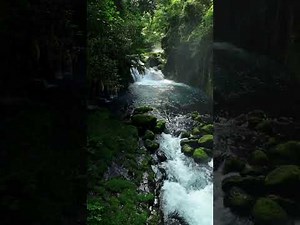 Calming Water Sounds for Deep Relaxation, Sleep & Stress Relief 🫧🌊