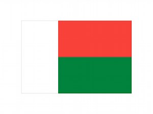 Madagascar flag vector icon. Madagascar flag icon sign. Flag of...