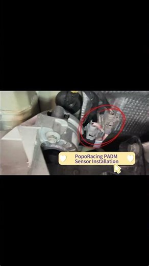 The "DIY Expert" Hook-Porsche PADM disabled #automobile #machine #repair#porsche #tools #diy
