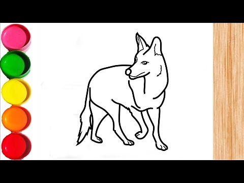 How to Draw a Coyote Easy Step by Step