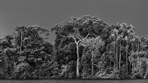 'Amazônia', el gran proyecto fotográfico de Sebastião Salgado toma Madrid