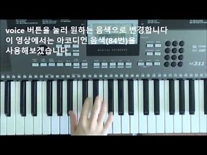 [메들리 디지털피아노] M311 자동반주 연주법