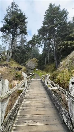 Kalaloch Beach, WA📍 #kalalochbeach #olympicnationalpark #outdoors #hiking #pacificcoast #washingtonbeaches #washingtonstate #beach #pacificnorthwest #pnw #olympicpeninsula | Frida Yanina