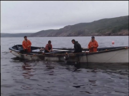 102K views · 412 reactions | Many of you have seen this amazing Bay...