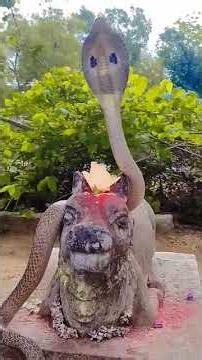 shiv Shankar ko jisne pooja🕉️🕳️🙏#viral #bholenath #bhaktisong