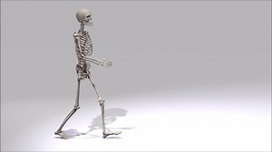 Walking Skeleton Animation Stock Motion Graphics SBV-300248434 - Storyblocks
