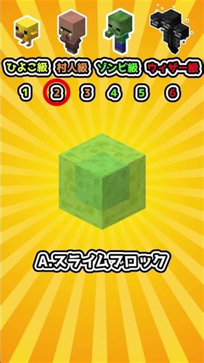 【全問正解出来たら神】マイクラクイズ！意外と正式名称は分からないかも！？ブロック編Part9#マイクラ #クイズ #暇つぶし #ゲーム
