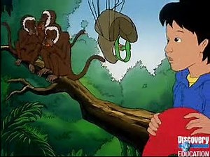The Magic School Bus: In the Rain Forest