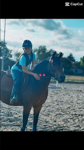 Chehhhhh #horse #music # cheh