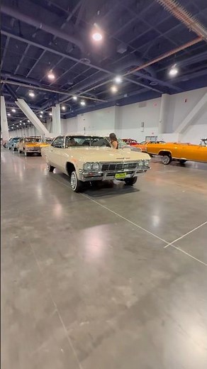 Crazy Las Vegas Lowrider super show