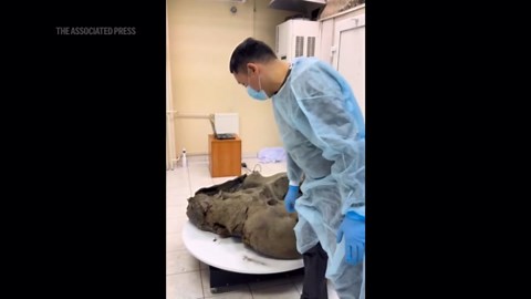 Baby mammoth preserved for 50,000 years is unveiled