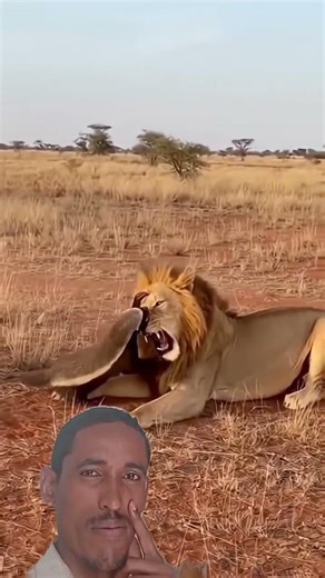 what do you understand from this video please write on the comment section #lovestory #duet #habesha