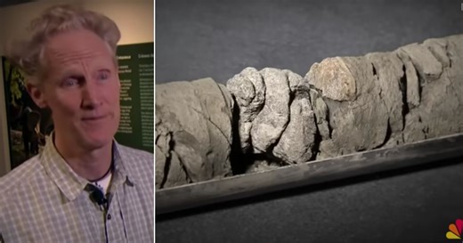 'Hole in One from the Moon': US Museum Makes Rare Find In Its Own Backyard