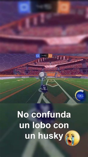 No confunda un lobo con un husky #humor #minecraft #epsteinfiles #hola #rocketleague #donaldtrump