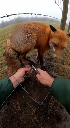 POV body-cam footage of a split-second choice that saved a life. Real, raw, and unplanned