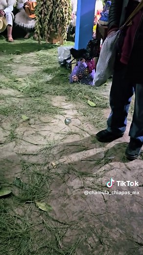 Exploring Chamula Chiapas Culture and Traditions