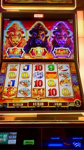 209K views · 2K reactions | These Buffalo Slots were on Fire!!  #buffaloslots | Slot Hopper | Facebook