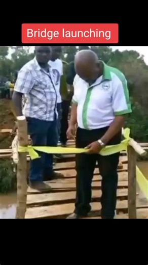 Bridge launching