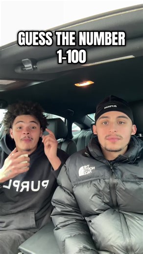 Guess the Number Challenge: Can You Get It Right?