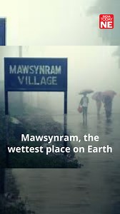 1.1K views · 14 reactions | #Northeast: Located in Meghalaya's East Khasi Hills district, Mawsynram is celebrated as the wettest place on Earth, receiving so much rain that its average annual rainfall reaches a staggering 11,871 millimeters. #Meghalaya #Mawsynram #WettestPlace #Rainfall | IndiaToday NE | Facebook