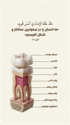 📌توضیحات مهم در کپشن👇