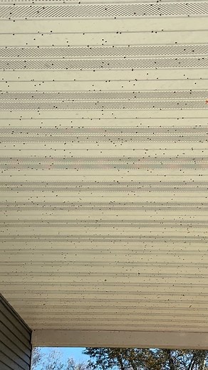 Cameron Imming on Reels