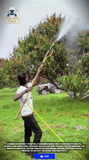 The Best Way to Use a Yellow Garden Hose for Your Plants