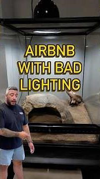 Reptile hides: You're doing it wrong #reptilecare #tips