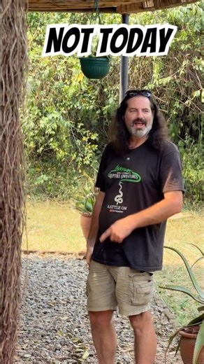 A baboon tries to steal Dav Kaufman’s Rolex!