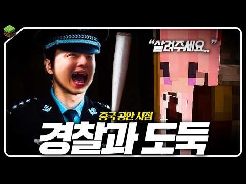 Police and Thieves Chinese Public Security Point of View