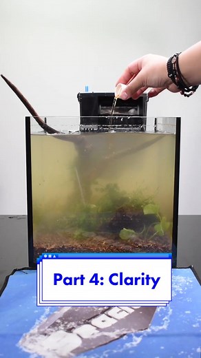 Aquarium Clarity Solutions: Enhancing Water Quality