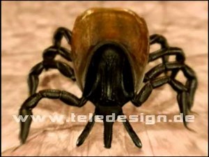DB 068 Zeckenbiss - SD PAL/ DB 068 Deer ticks - SD PAL