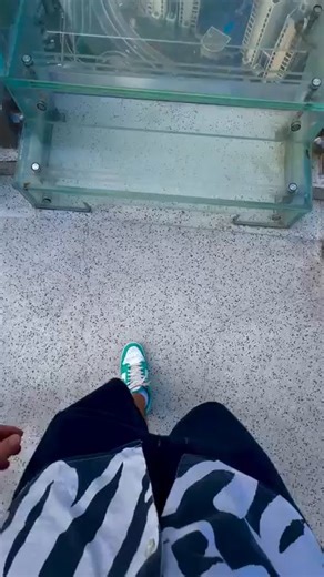 15K views · 66 reactions | Soaring 240 meters above ground, The View Palm serves up the ultimate panorama of Palm Jumeirah — where the city meets the sea in every breathtaking frame ✨  IG/lazyset_up #VisitDubai | Visit Dubai | Facebook