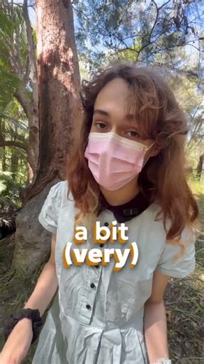 your train is GONE 💥‼️. [CHECK DESC]