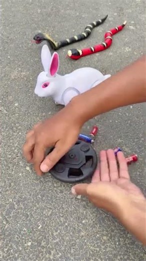 2Ta RC Snake Vs RC Remote Control RabbitUnboxing Aur Testing