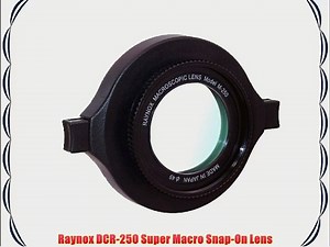 Raynox DCR-250 Super Macro Snap-On Lens